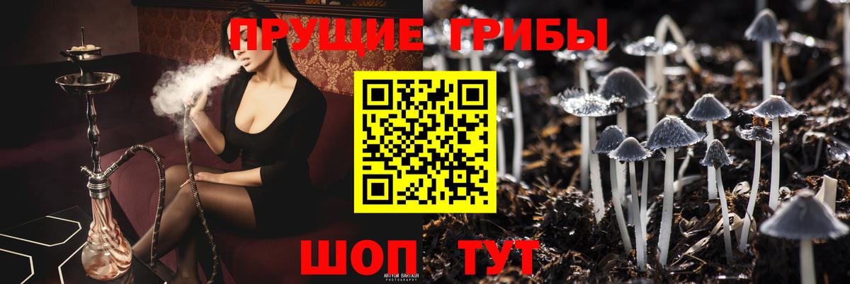 Галлюциногенные грибы Psilocybine cubensis Майский